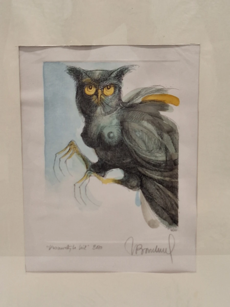 Set van 2 handgesigneerde dierillustraties ‘Haan’ en ‘Vrouwelijke uil’ - 2000/2002 - Willy Bosschem - foto 3
