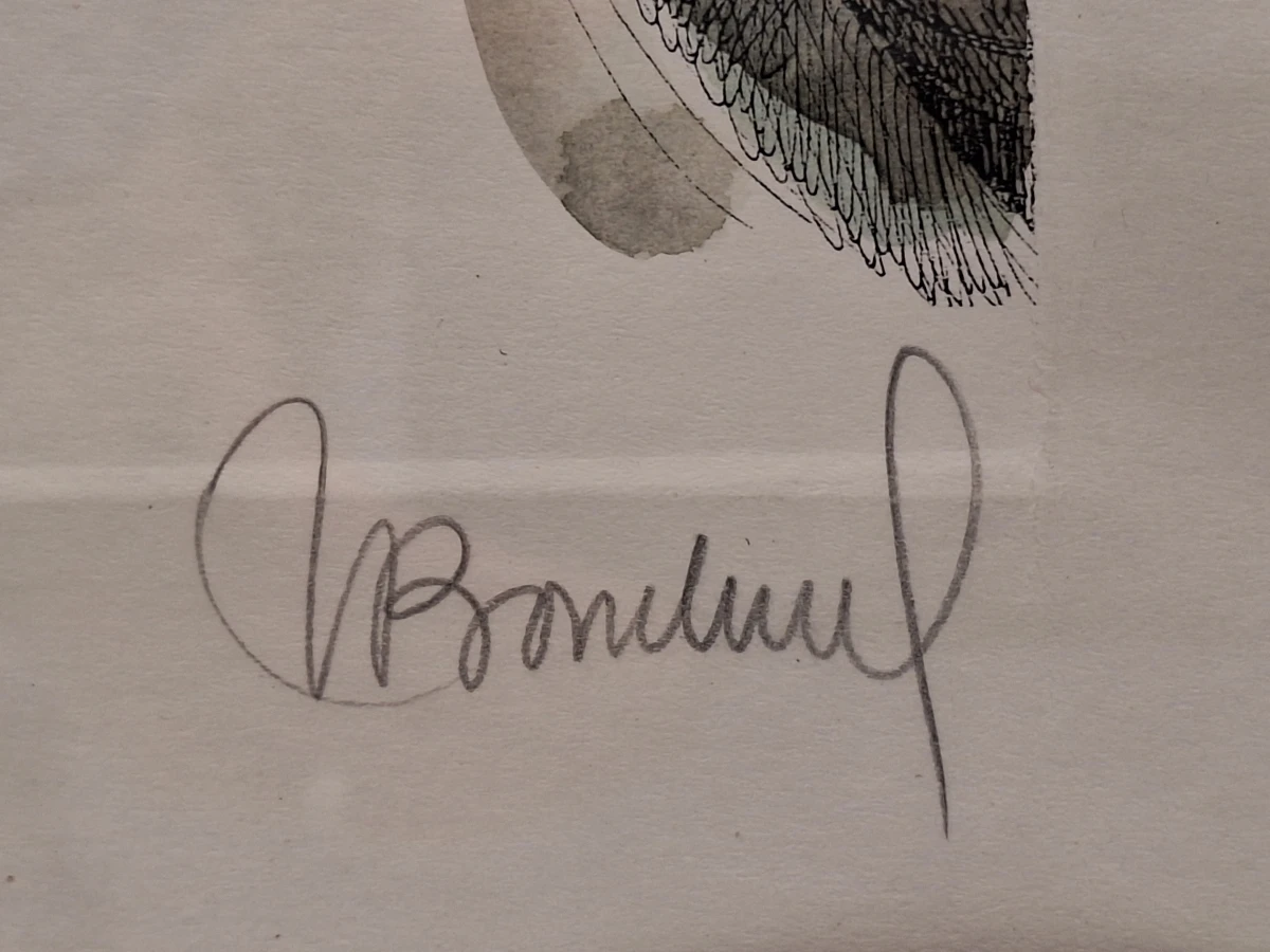 Set van 2 handgesigneerde dierillustraties ‘Haan’ en ‘Vrouwelijke uil’ - 2000/2002 - Willy Bosschem - foto 7