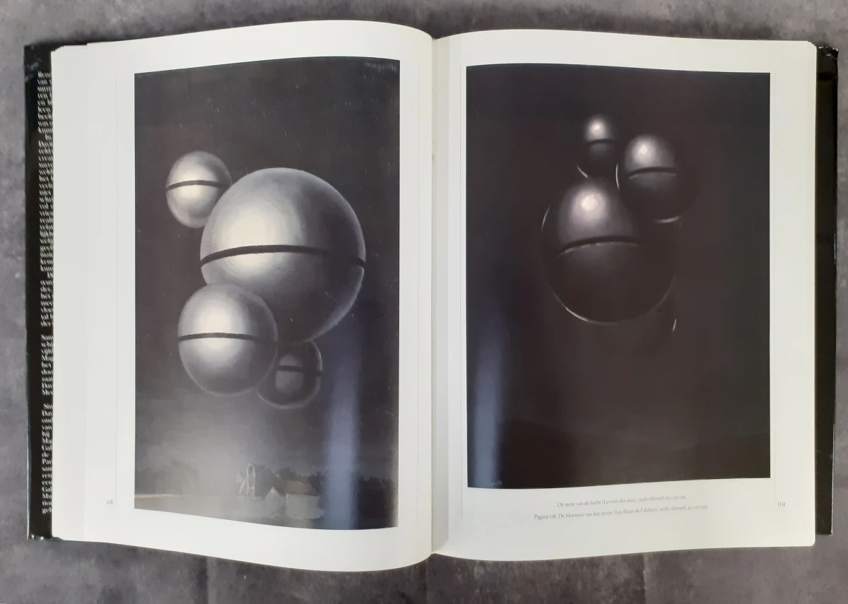 Boek: Magritte - foto 6