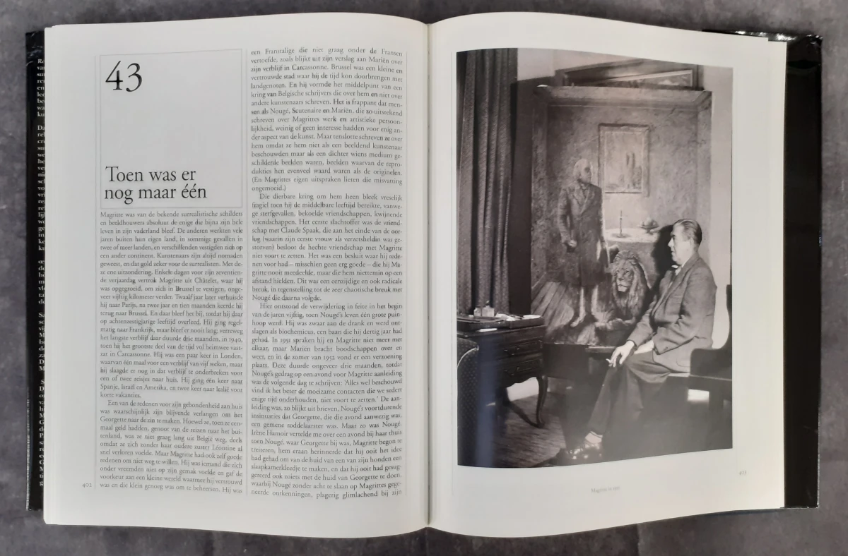 Boek: Magritte - foto 11