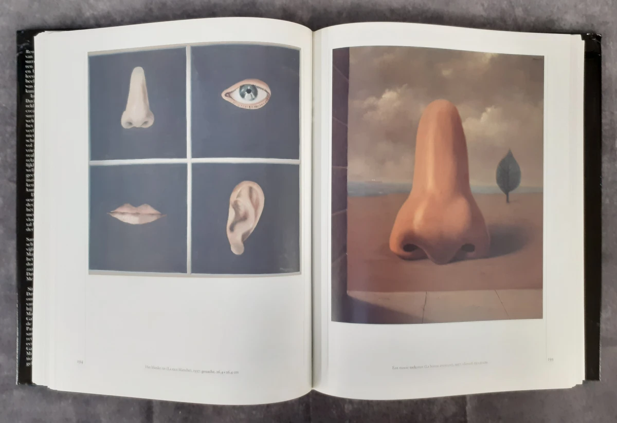 Boek: Magritte - foto 7