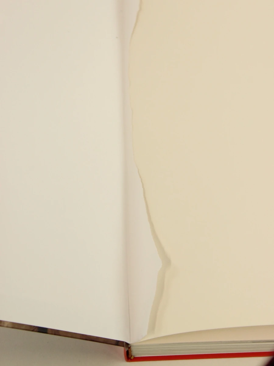 Javier Marín – Escultura 2005 - foto 3