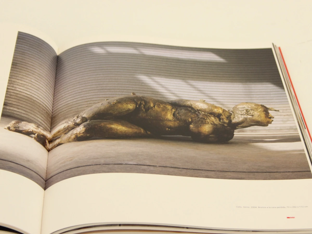 Javier Marín – Escultura 2005 - foto 10