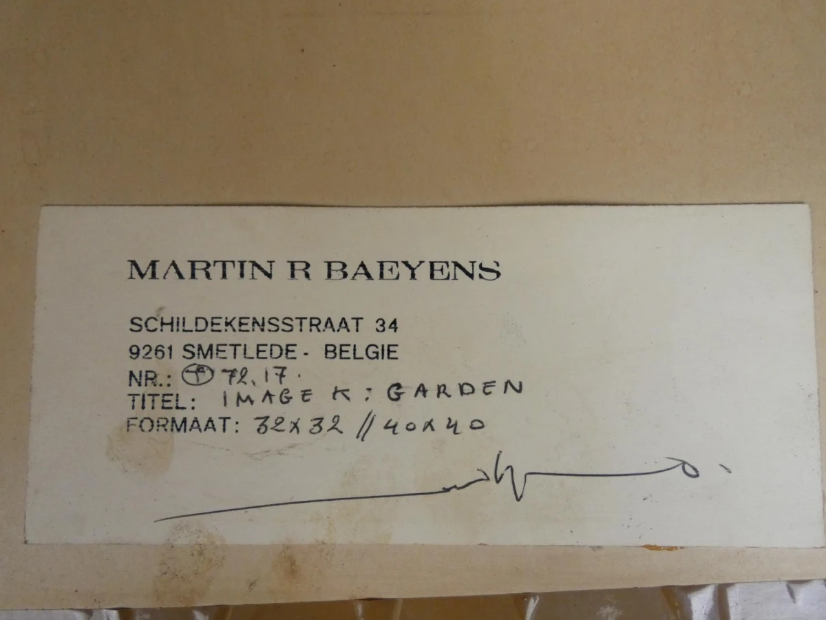 Modernistisch olieverfschilderij: "Image K: Garden" door Martin R. Baeyens - foto 6
