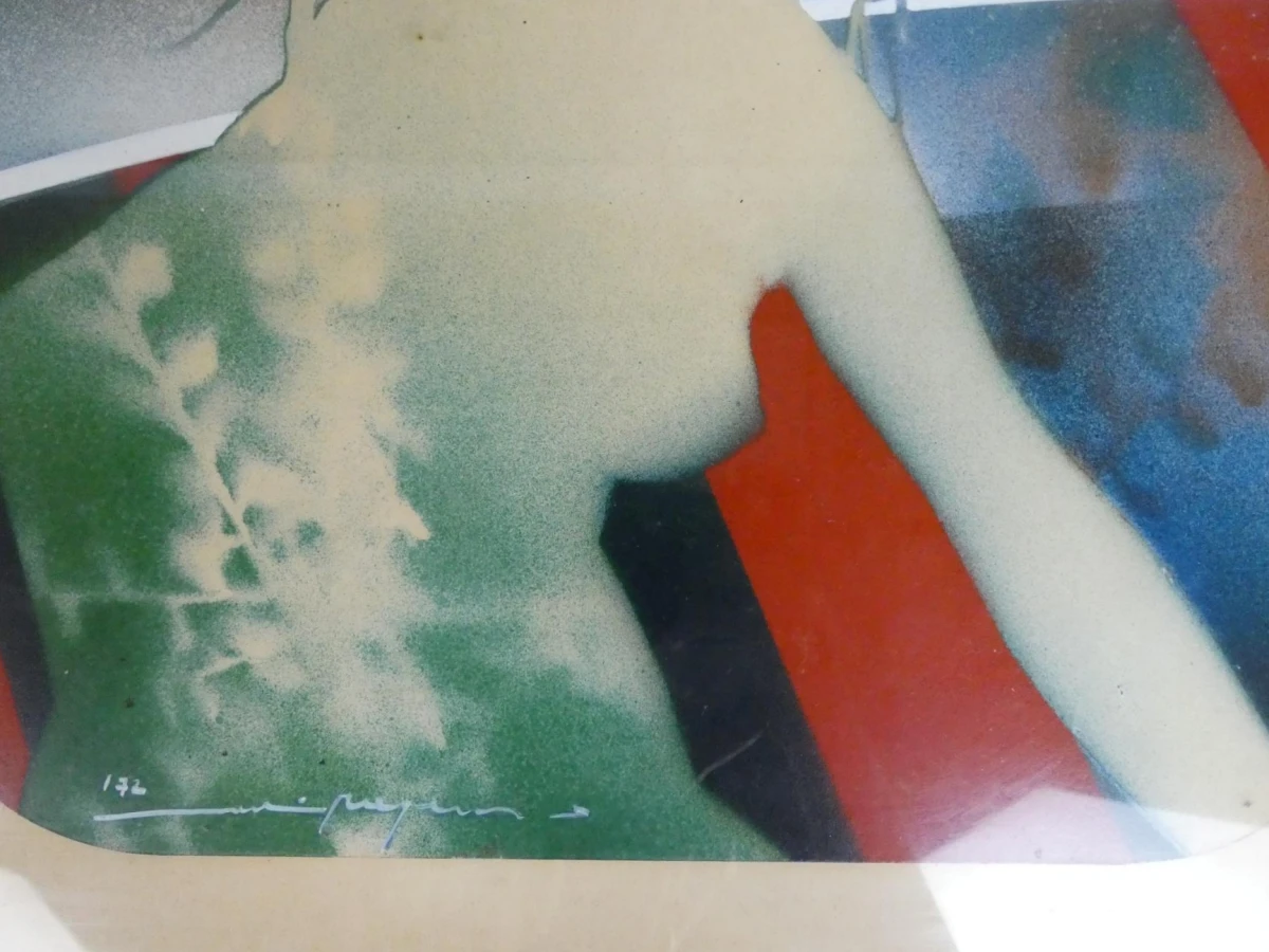 Modernistisch olieverfschilderij: "Image K: Garden" door Martin R. Baeyens - foto 3
