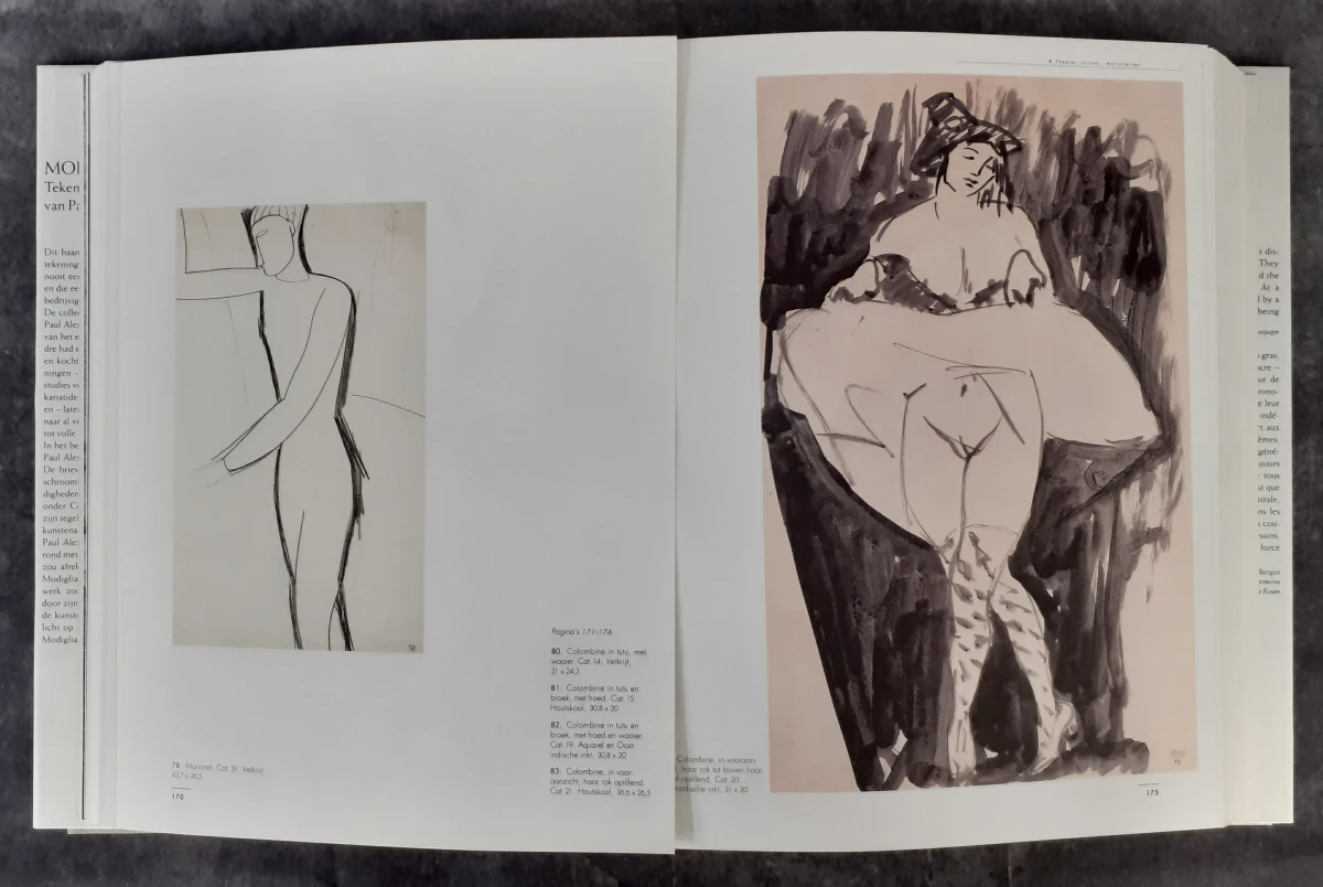 Boek: Modigliani - Tekeningen uit de collectie van Paul Alexandre - foto 5