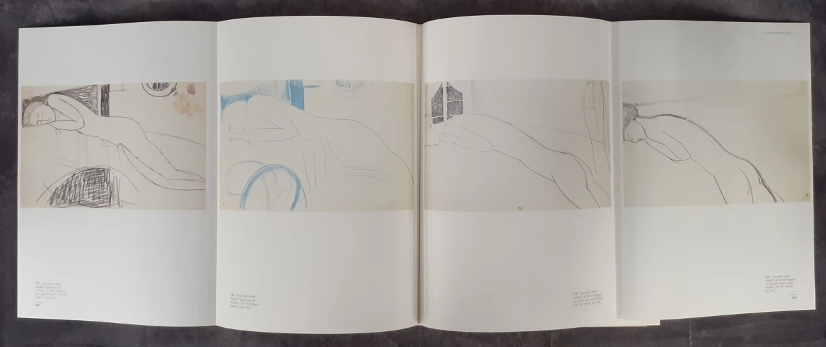 Boek: Modigliani - Tekeningen uit de collectie van Paul Alexandre - foto 8