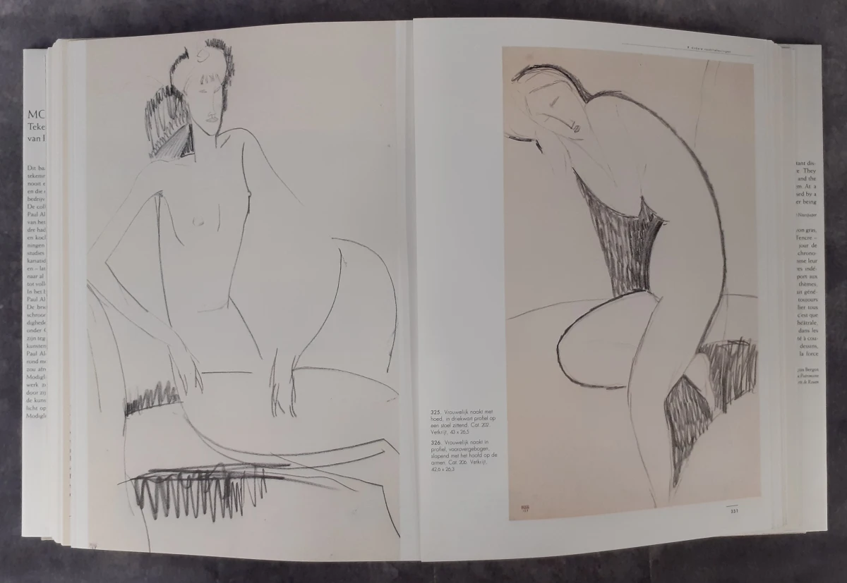 Boek: Modigliani - Tekeningen uit de collectie van Paul Alexandre - foto 7