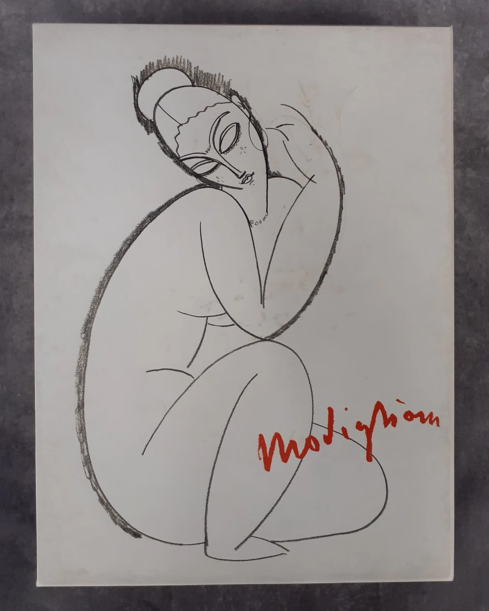 Boek: Modigliani - Tekeningen uit de collectie van Paul Alexandre - foto 11