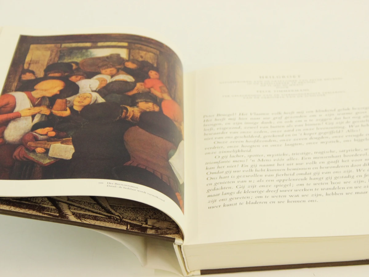 Onze Bruegel kunstboek met slipcase - foto 3