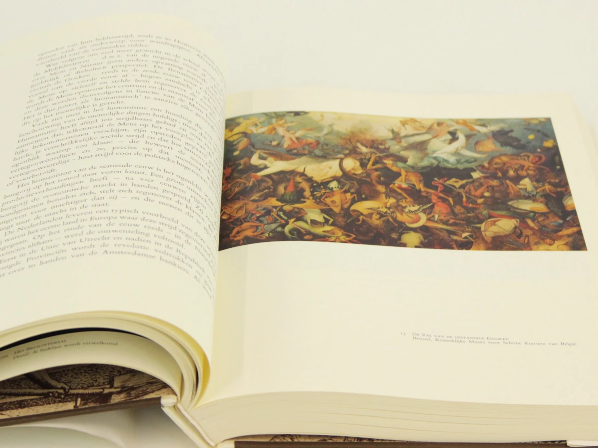 Onze Bruegel kunstboek met slipcase - foto 4