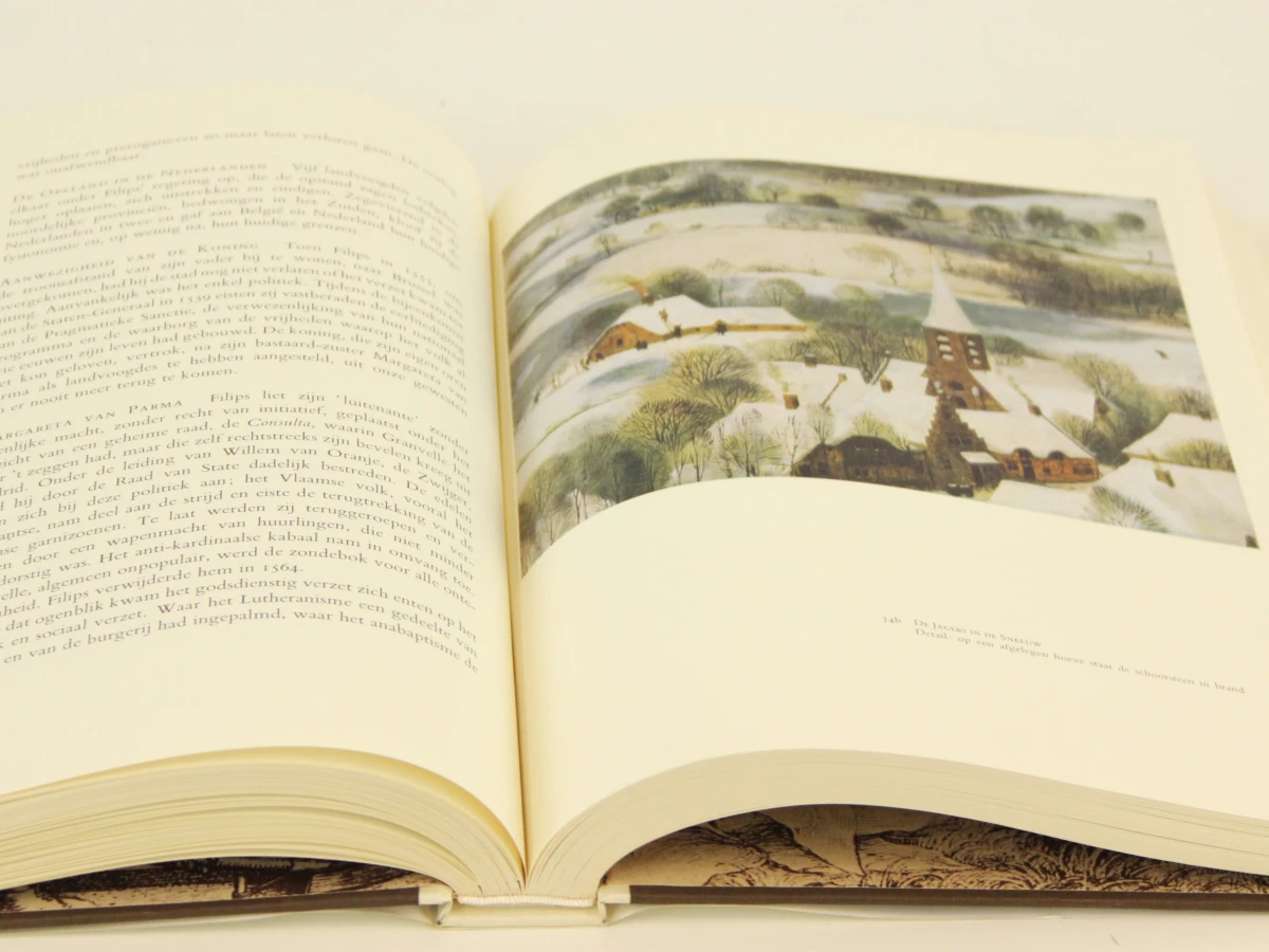 Onze Bruegel kunstboek met slipcase - foto 5