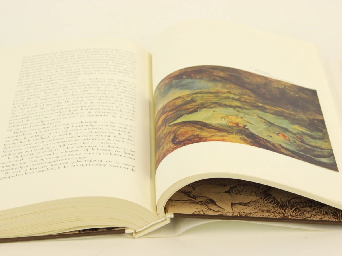 Onze Bruegel kunstboek met slipcase - foto 6