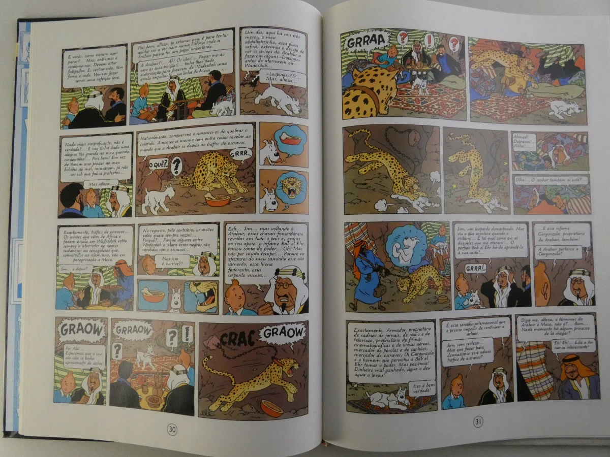 Set van 10 Tintin stripboeken in het Portugees - foto 5