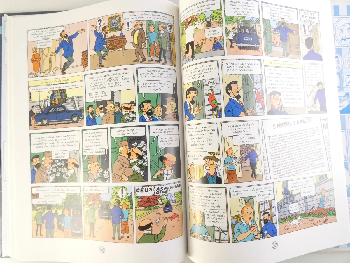 Set van 10 Tintin stripboeken in het Portugees - foto 7