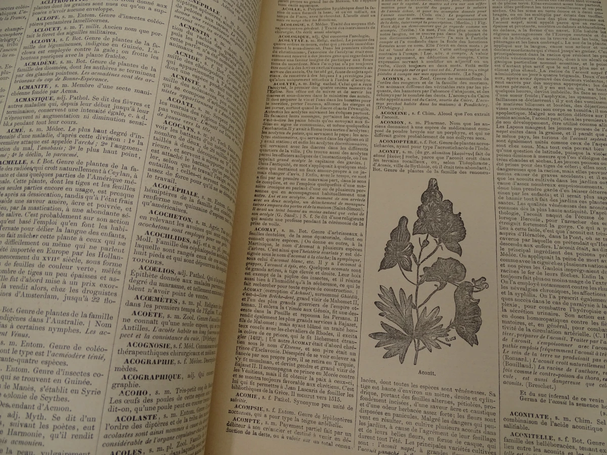 Oude set woordenboeken Dictionnaire Universel Maurice Lachat - foto 5