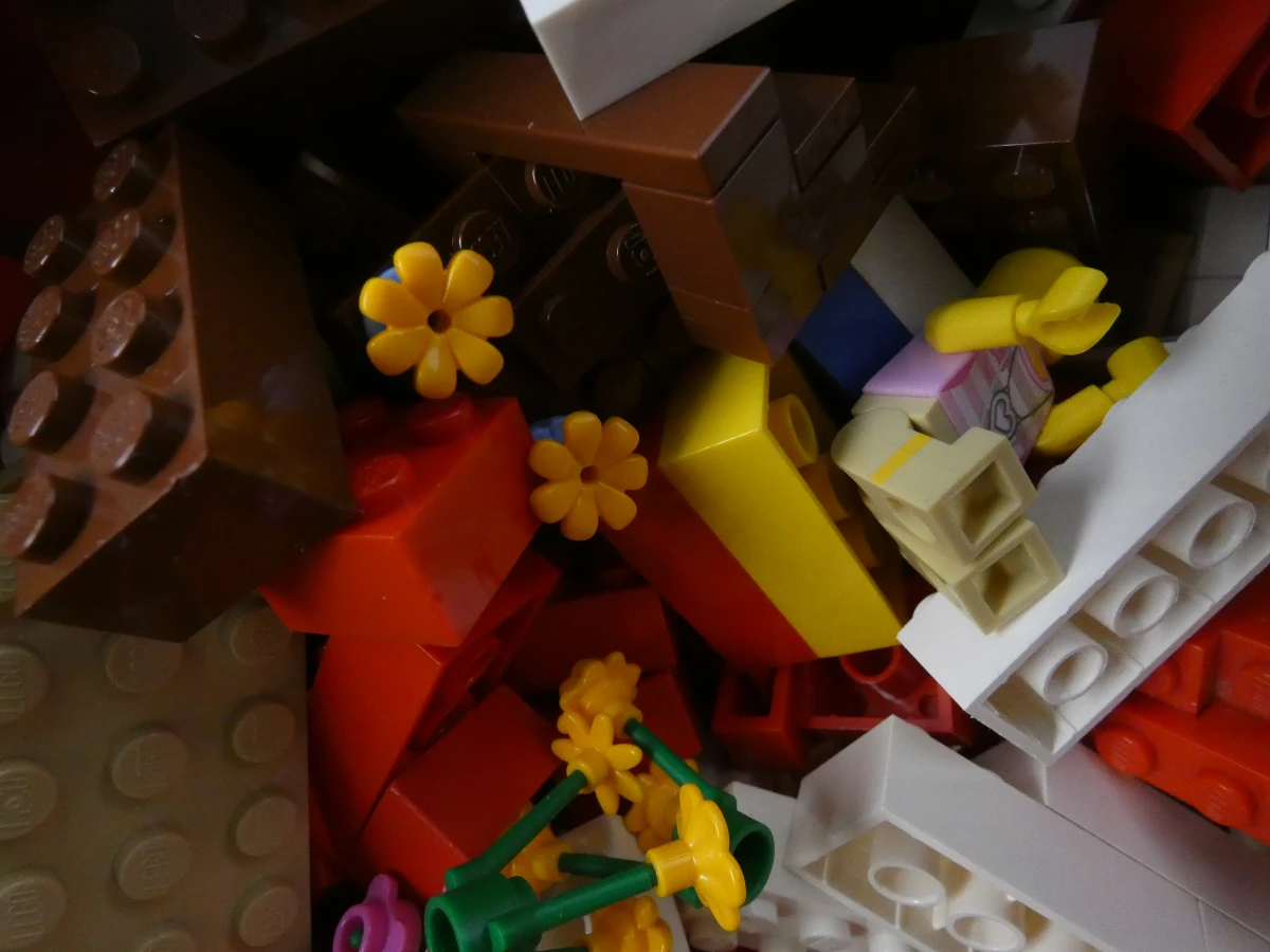 Grote doos met diverse bouwstenen en figuren – foto 8 – kavel bij De Kringwinkel, Heverlee