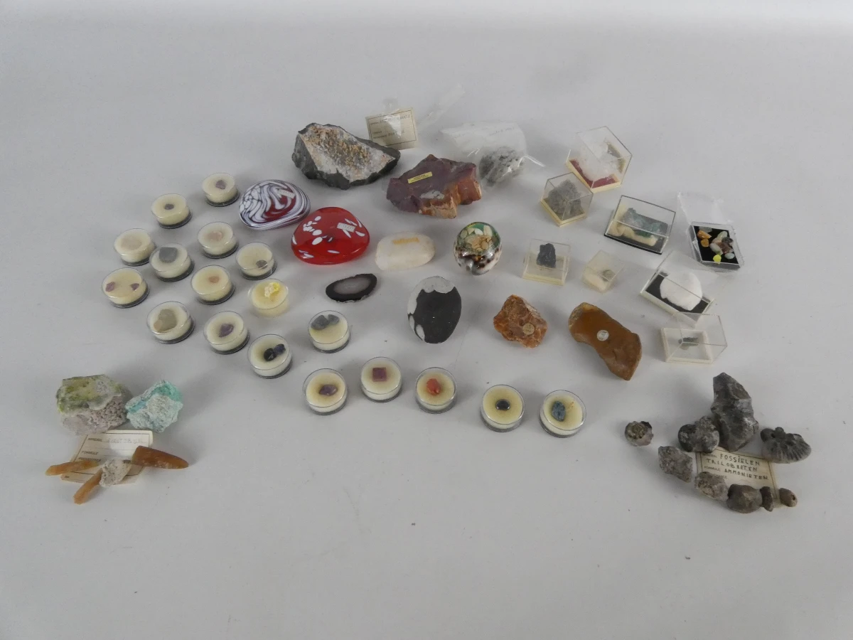 Verzameling mineralen, fossielen en edelstenen - foto 2