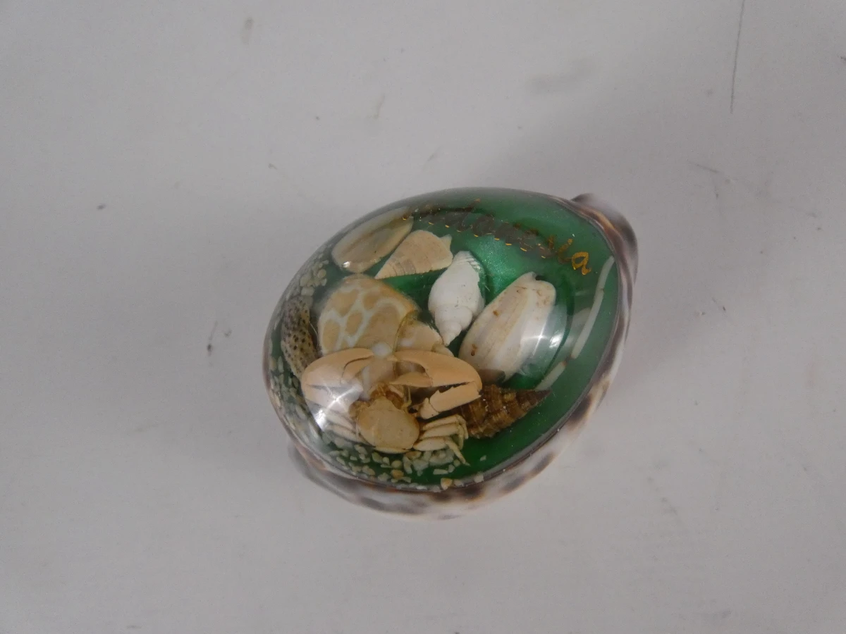 Verzameling mineralen, fossielen en edelstenen - foto 16