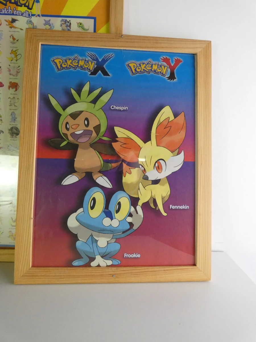 Pokémon verzamelset met figuren, posters en accessoires - foto 41