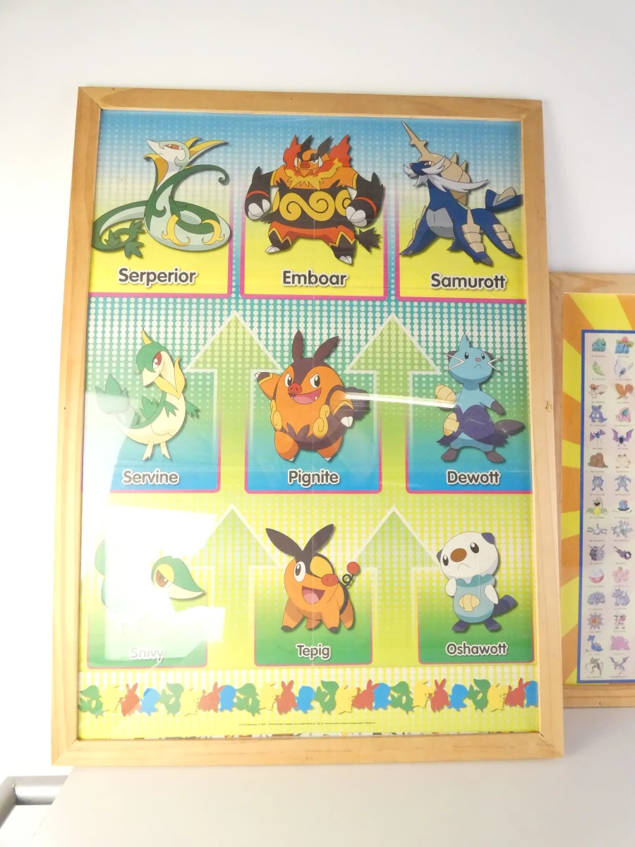 Pokémon verzamelset met figuren, posters en accessoires - foto 46