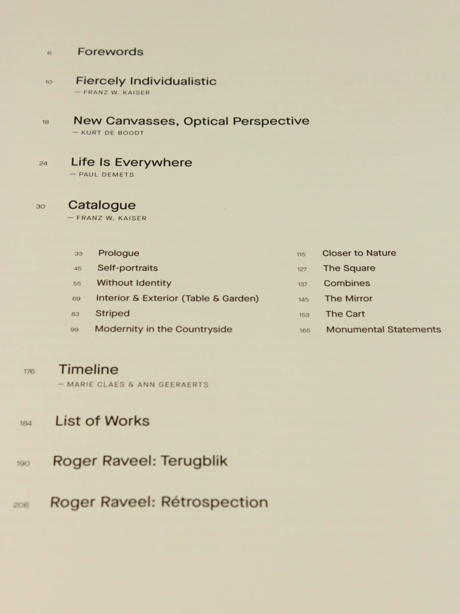 Roger Raveel Retrospection kunstboek - foto 3