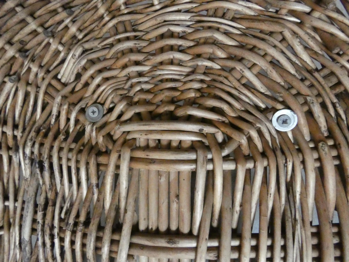 Mand op wielen - foto 4