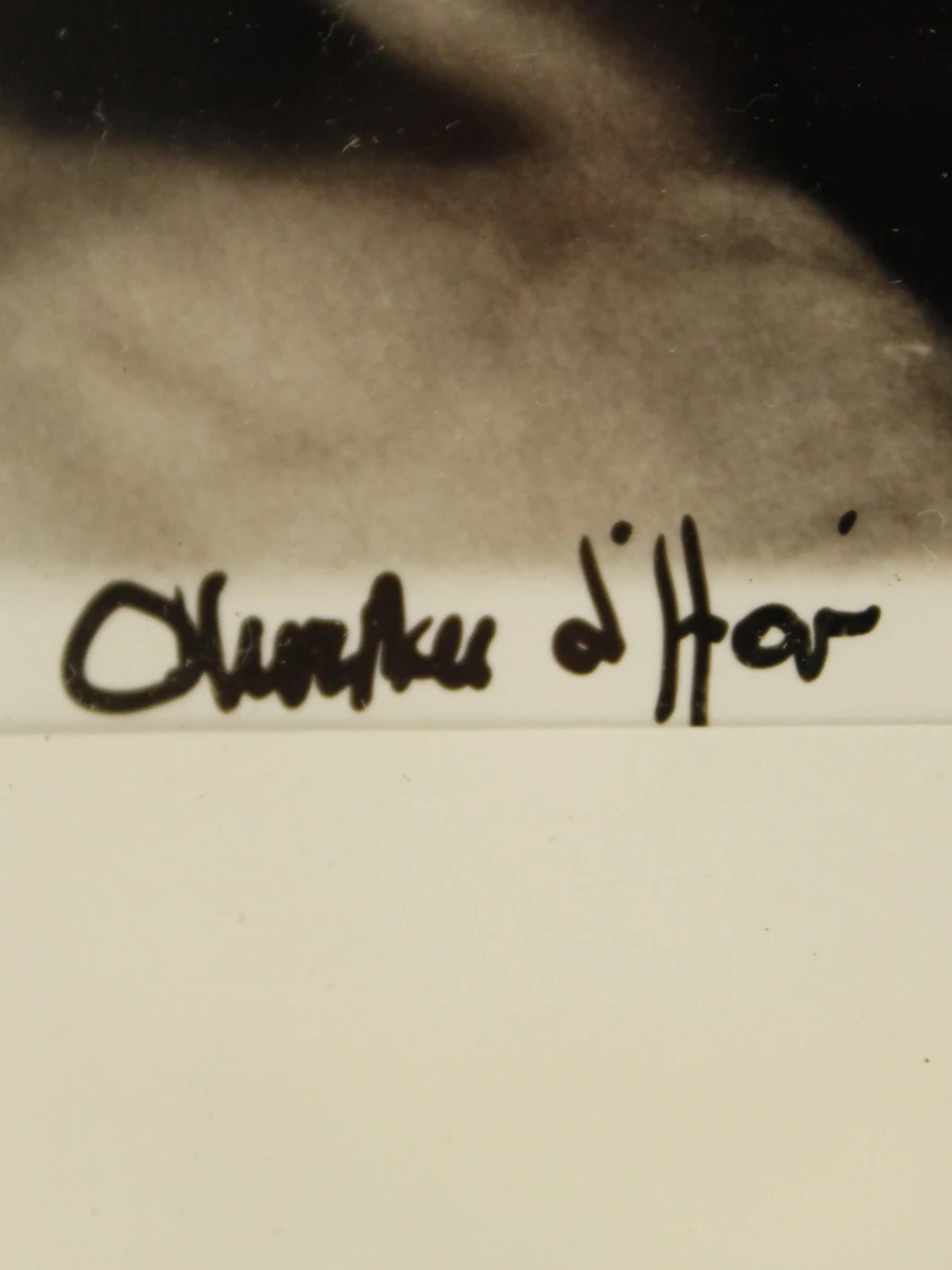 Artistiek duo van zwart-wit foto's van fotografen Charles d'Hont & Horst P. Horst - foto 4