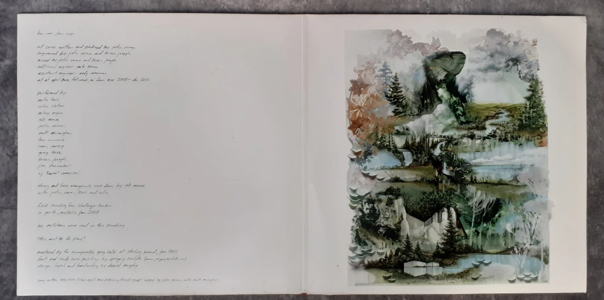 Vinyl: Bon Iver - Bon Iver Bon Iver - foto 2