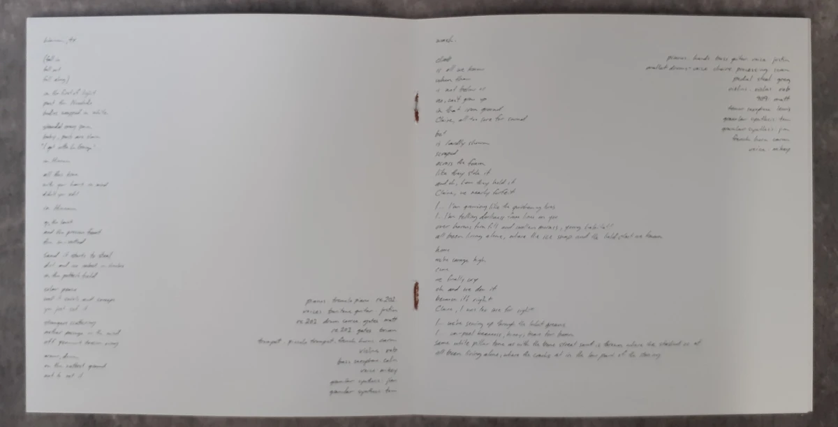 Vinyl: Bon Iver - Bon Iver Bon Iver - foto 5