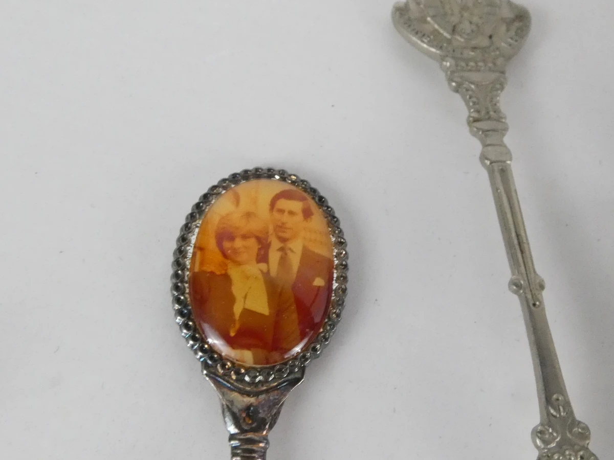 Verzameling souvenirlepels diverse steden en thema's(313 stuks) - foto 7
