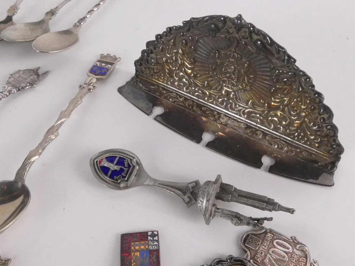 Verzameling souvenirlepels diverse steden en thema's(313 stuks) - foto 11