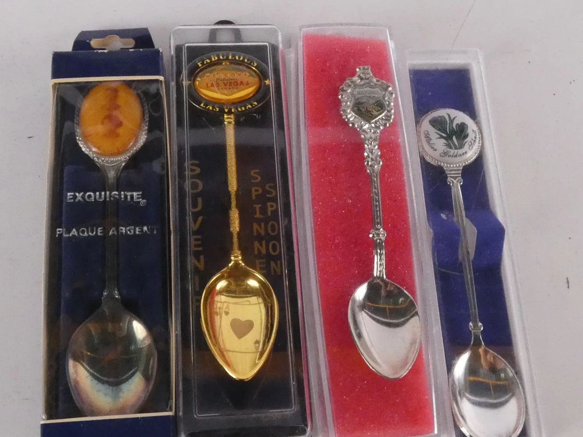 Verzameling souvenirlepels diverse steden en thema's(313 stuks) - foto 25