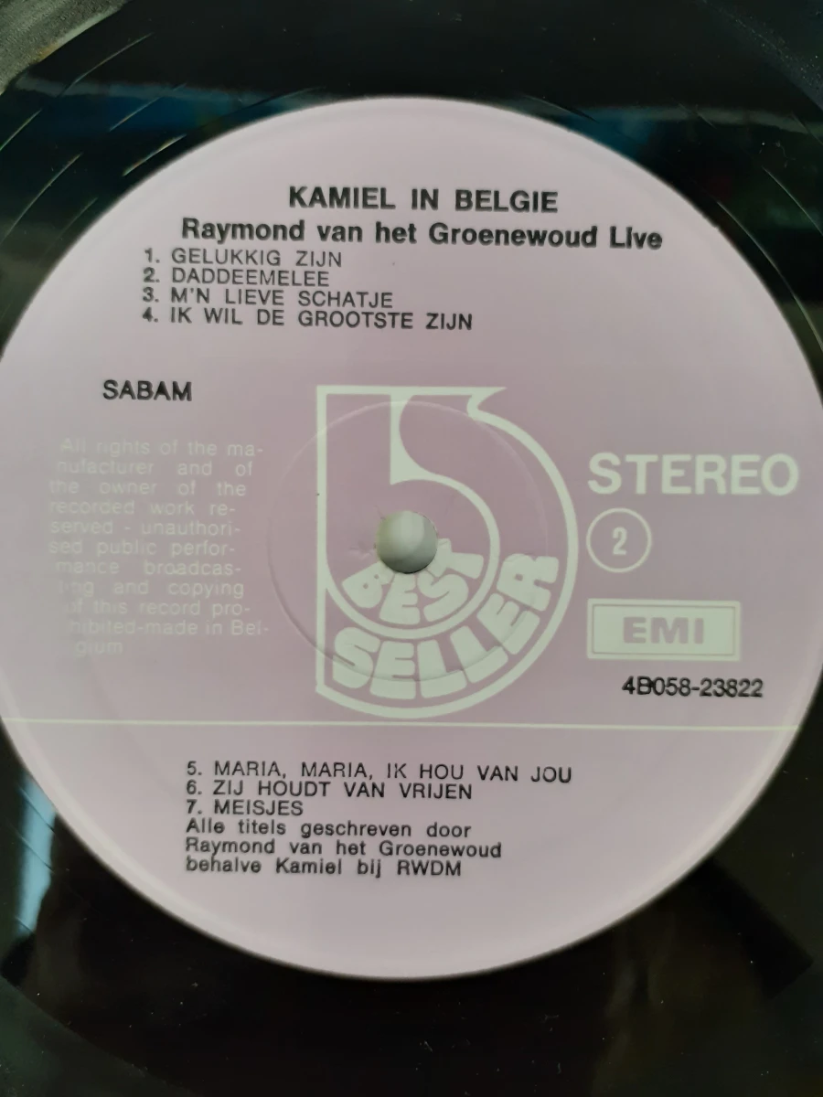 Vinyl: Kamiel in België - Raymond van het Groenewoud Live - foto 5