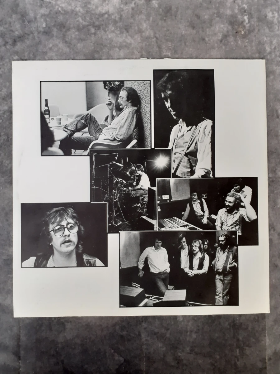 Vinyl: Kamiel in België - Raymond van het Groenewoud Live - foto 4