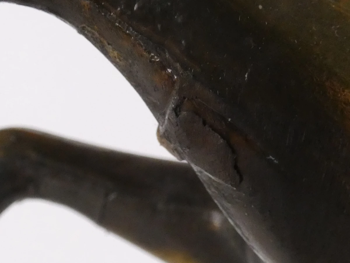 Bronzen beeld van een steigend paard op marmeren voet - foto 10
