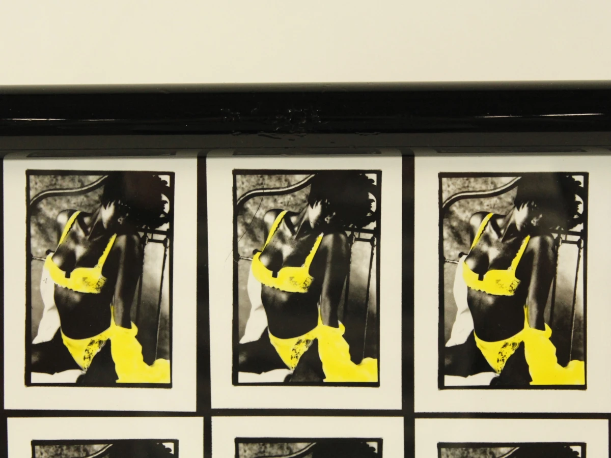 Pop-art fotowerk - raster van 25 herhaalde beelden in de stijl van Warhol - foto 3
