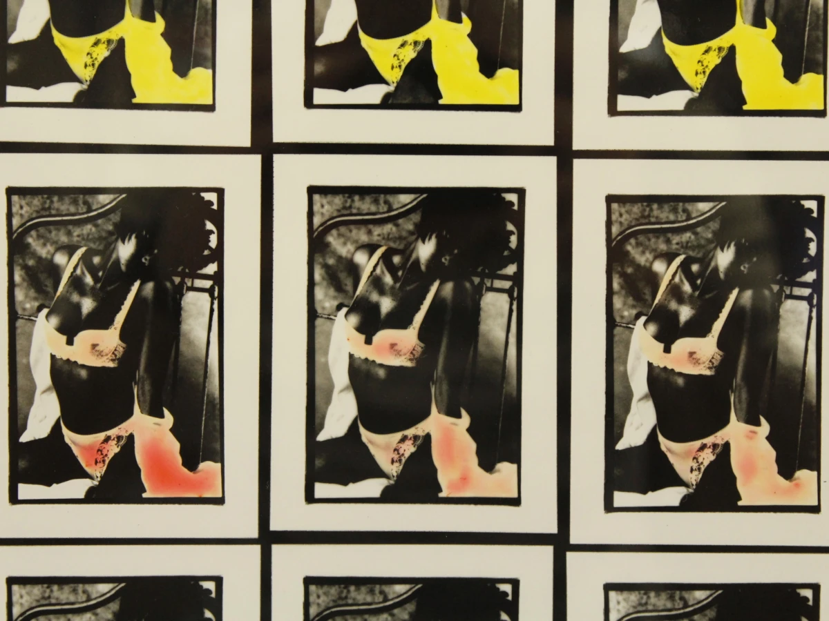 Pop-art fotowerk - raster van 25 herhaalde beelden in de stijl van Warhol - foto 4
