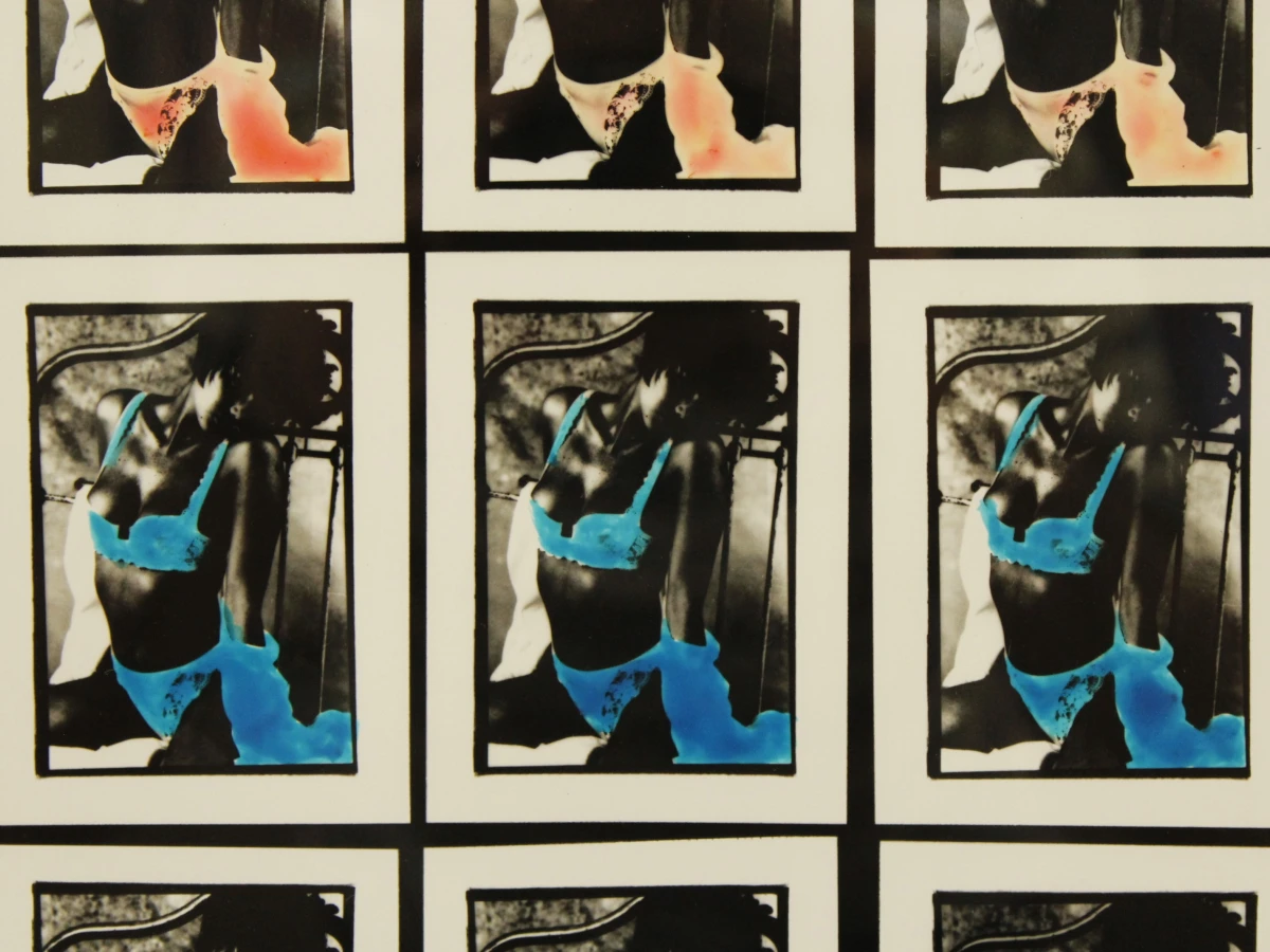 Pop-art fotowerk - raster van 25 herhaalde beelden in de stijl van Warhol - foto 5