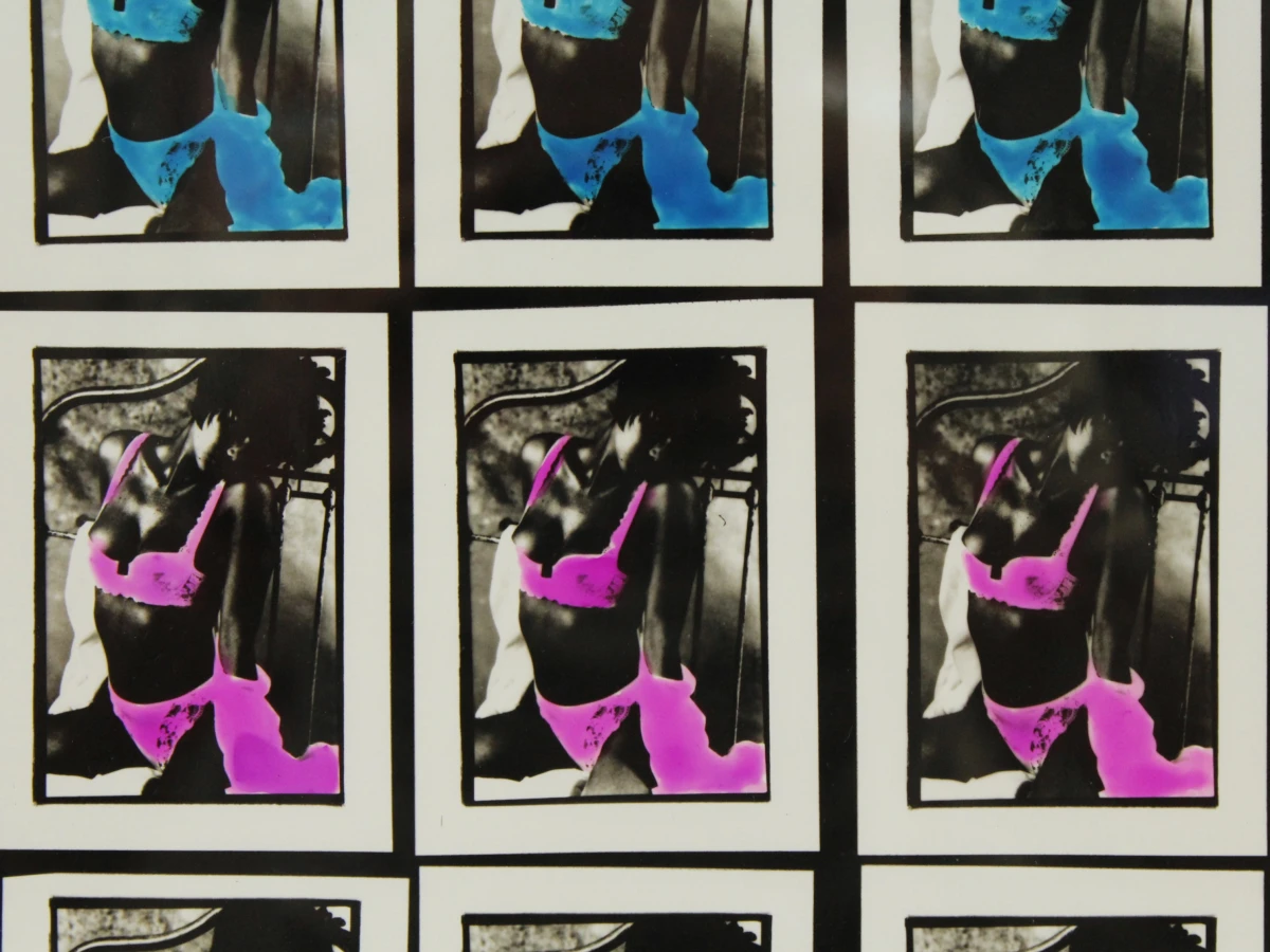 Pop-art fotowerk - raster van 25 herhaalde beelden in de stijl van Warhol - foto 6