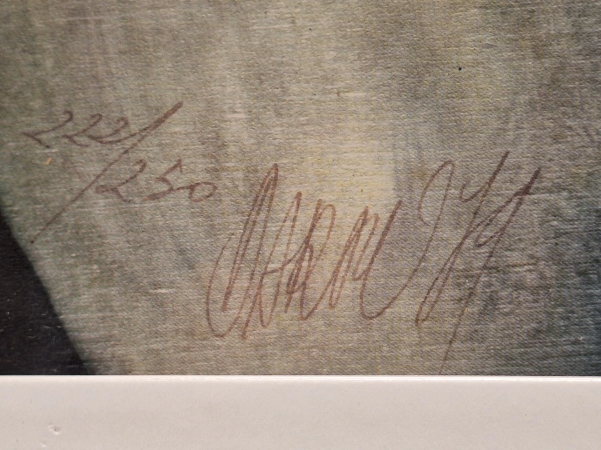 Amitiés particulières - Gesigneerde lithografie 222/250 (1989) - Gérard Daran - foto 9