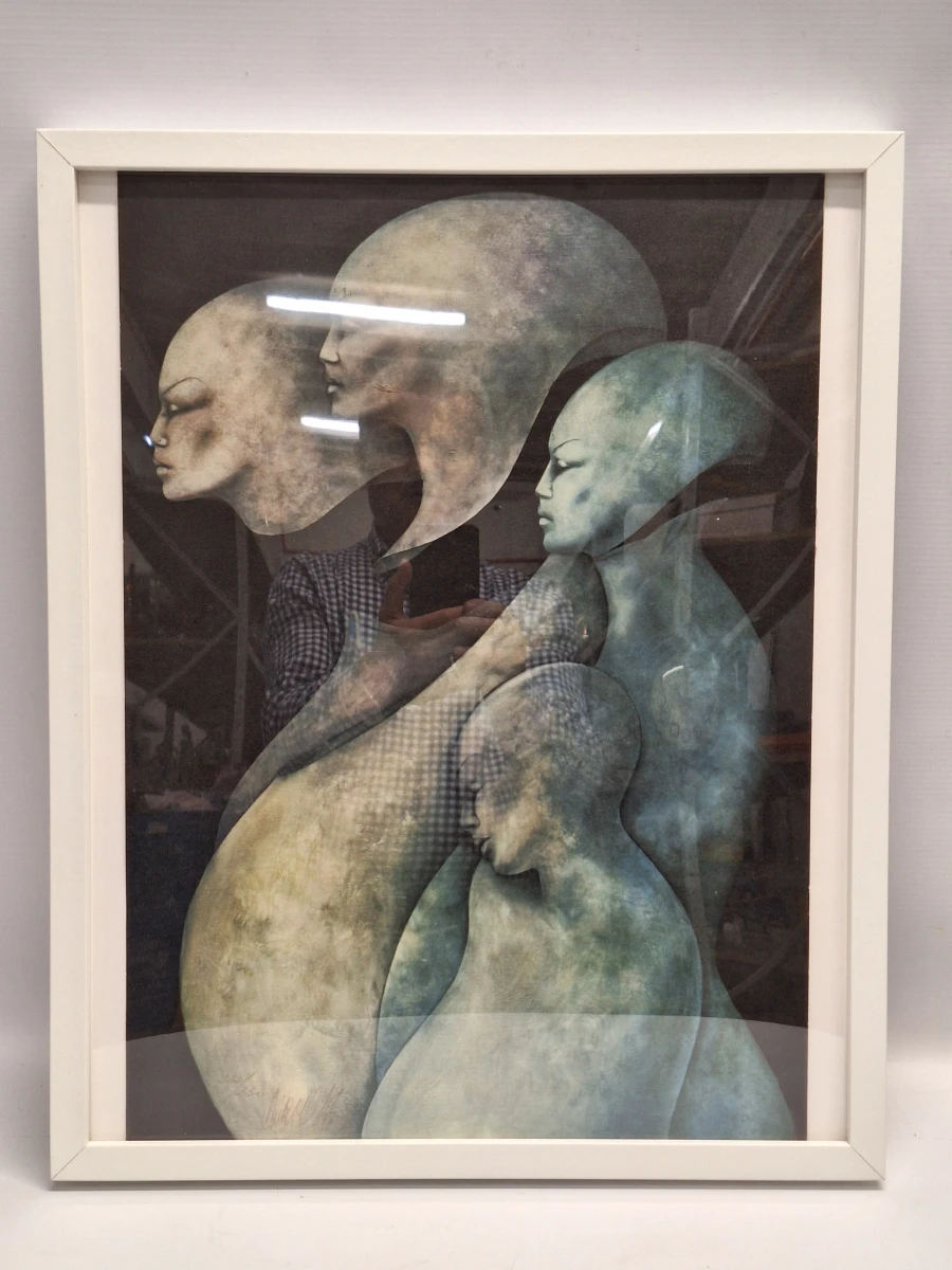 Amitiés particulières - Gesigneerde lithografie 222/250 (1989) - Gérard Daran - foto 2