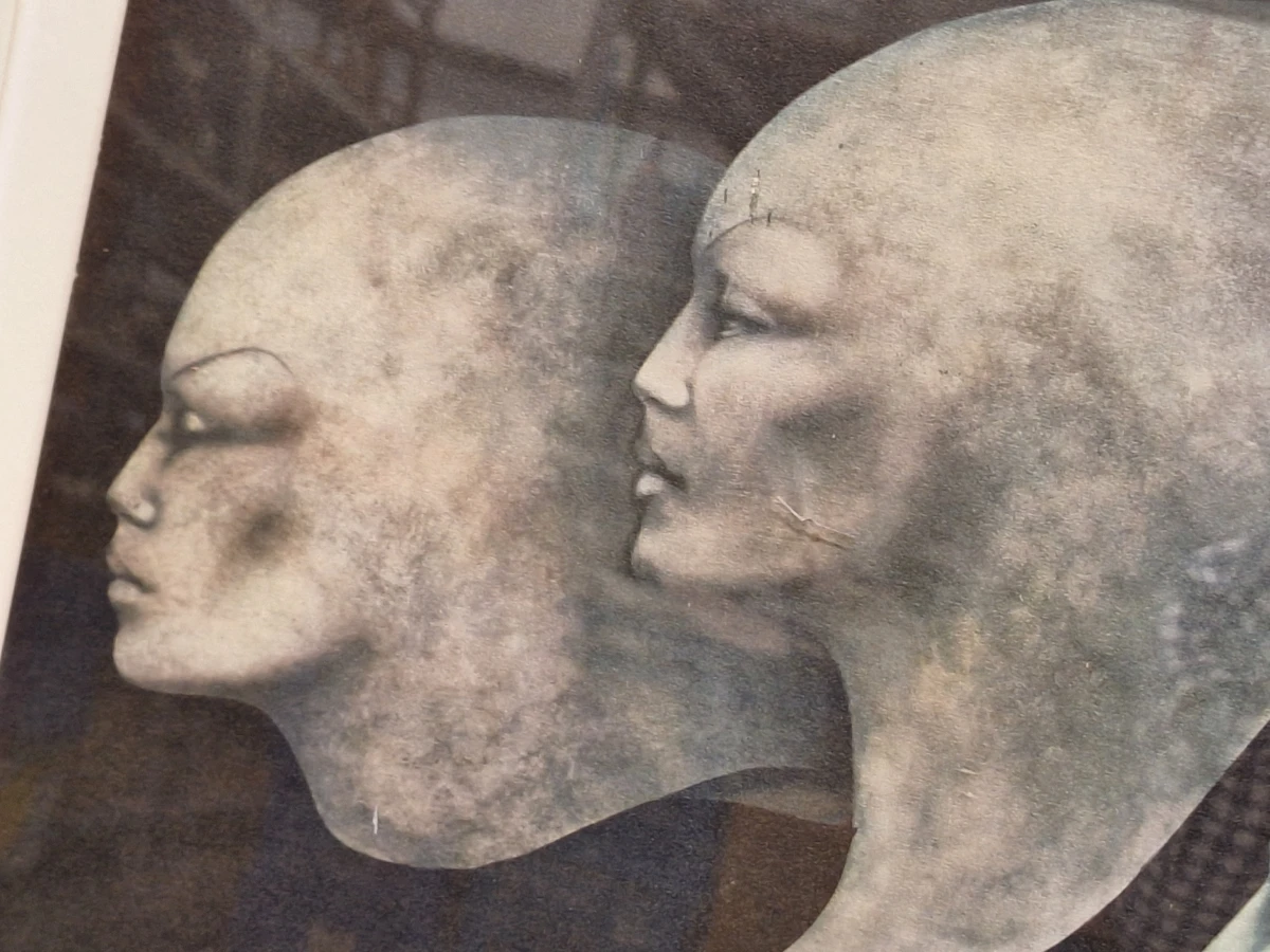 Amitiés particulières - Gesigneerde lithografie 222/250 (1989) - Gérard Daran - foto 8
