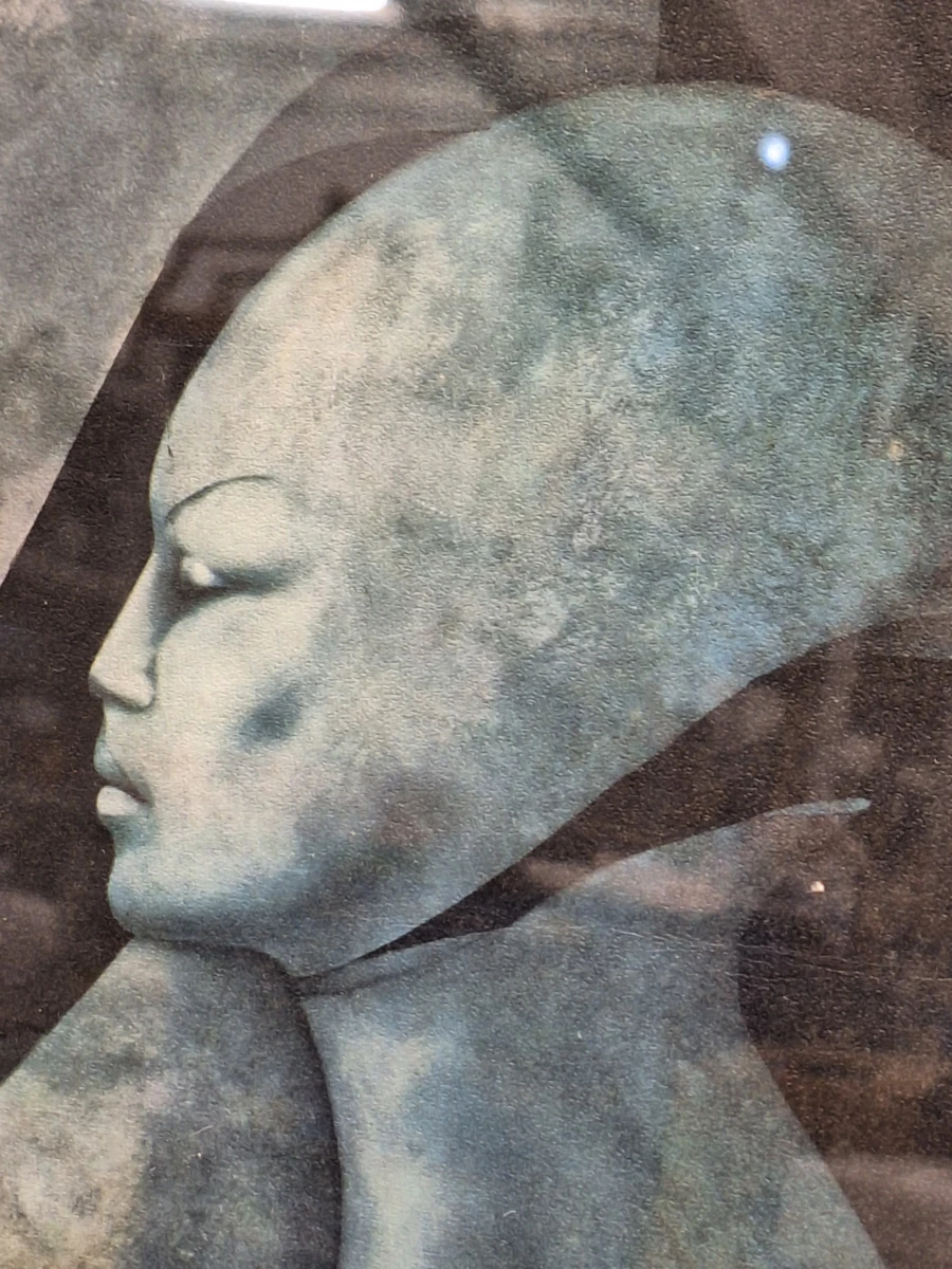 Amitiés particulières - Gesigneerde lithografie 222/250 (1989) - Gérard Daran - foto 7