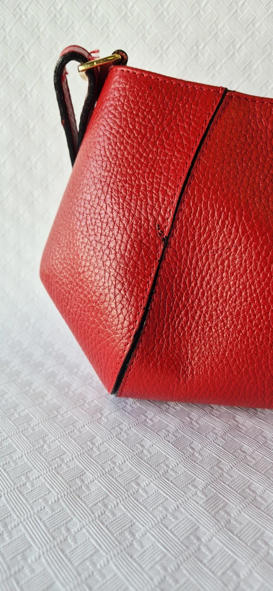 Delvaux "Désir" handtas. - foto 4