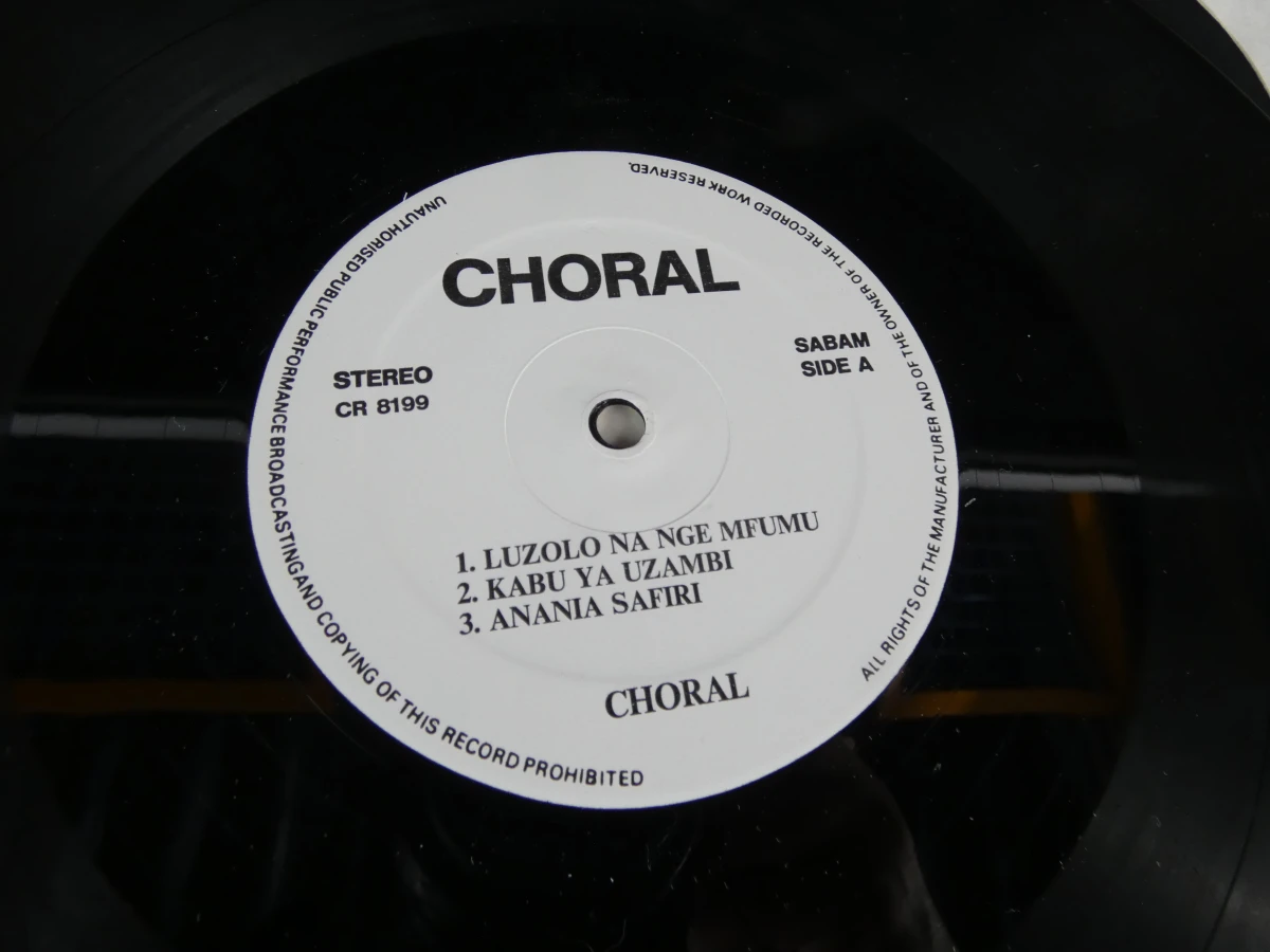 Set van 3 vinylplaten met Afrikaanse muziek - foto 17