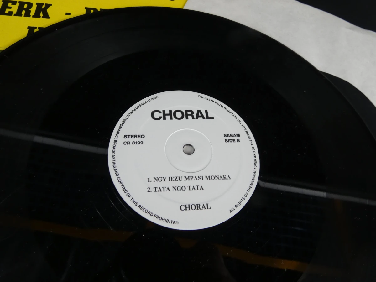 Set van 3 vinylplaten met Afrikaanse muziek - foto 18