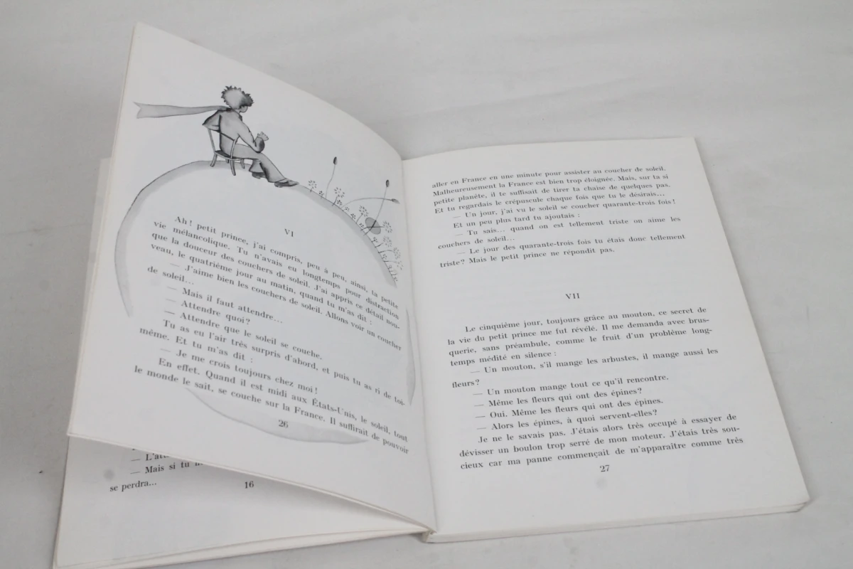 Franstalig boek: Le Petit Prince - foto 5