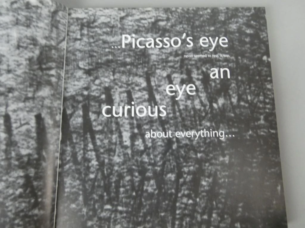Boek Picasso Inside the Image - Prints uit Ludwig Museum - foto 3