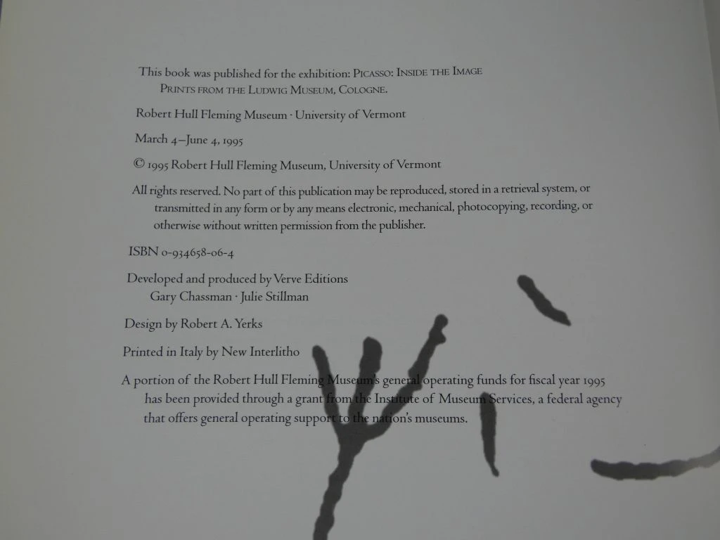 Boek Picasso Inside the Image - Prints uit Ludwig Museum - foto 5